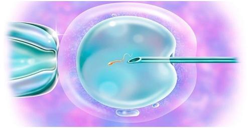 供卵代怀生男宝代生包成功